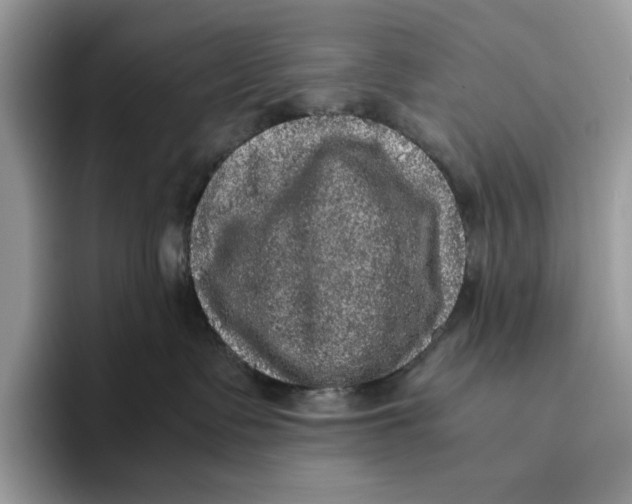 X0000095950335200802011107