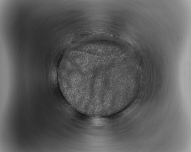 X0000095950336200802011107