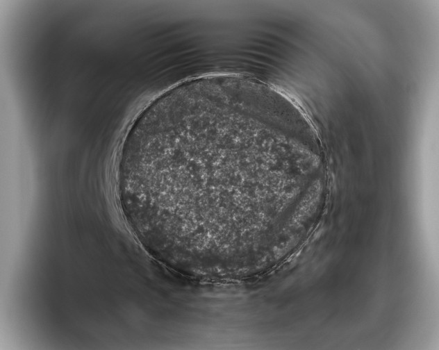 X0000095950337200802011106