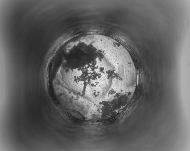 X0000095950339200802011106