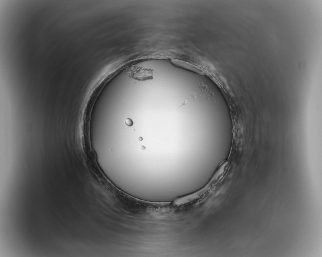 X0000095950340200802011106