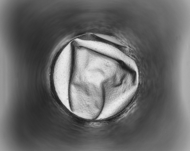 X0000095950341200802011106