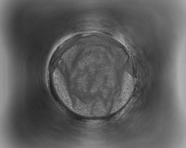 X0000095950342200802011106