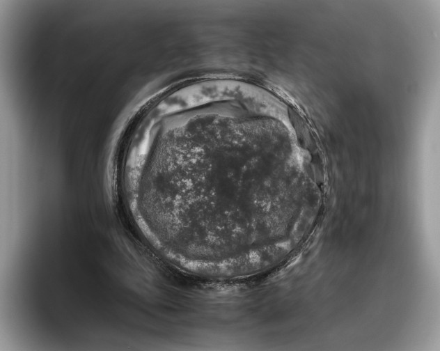 X0000095950343200802011106