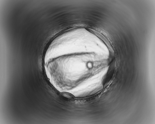 X0000095950345200802011106