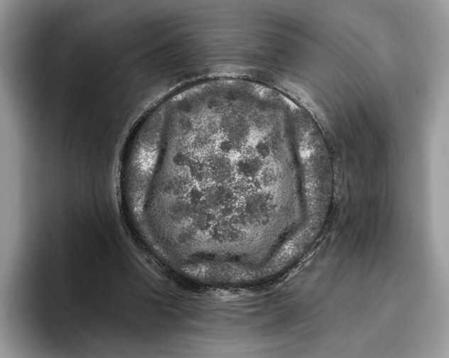 X0000095950346200802011106