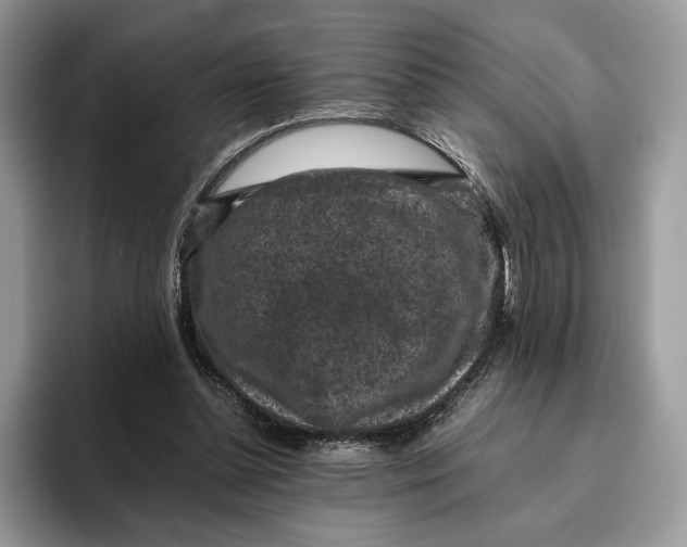 X0000095950348200802011106