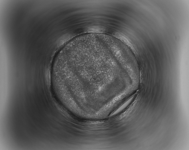 X0000095950349200802011106