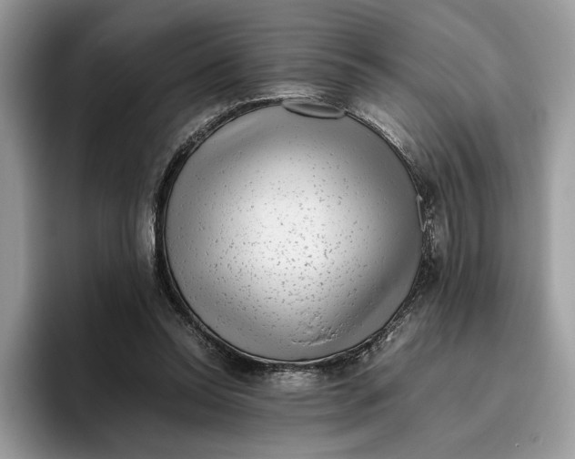 X0000095950350200802011106