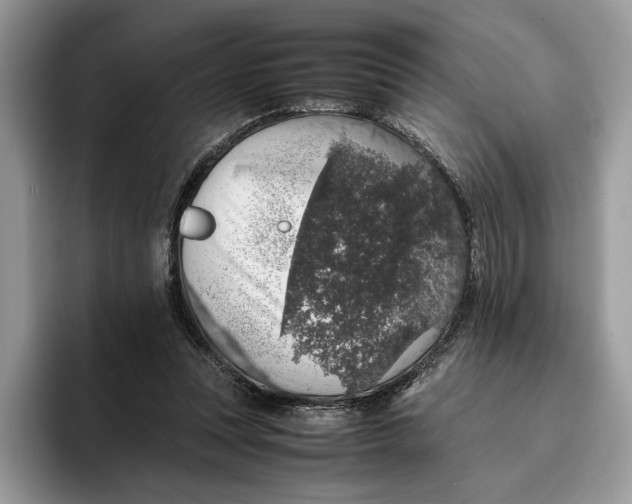 X0000095950351200802011106