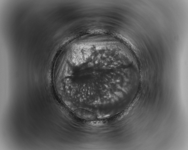 X0000095950353200802011106