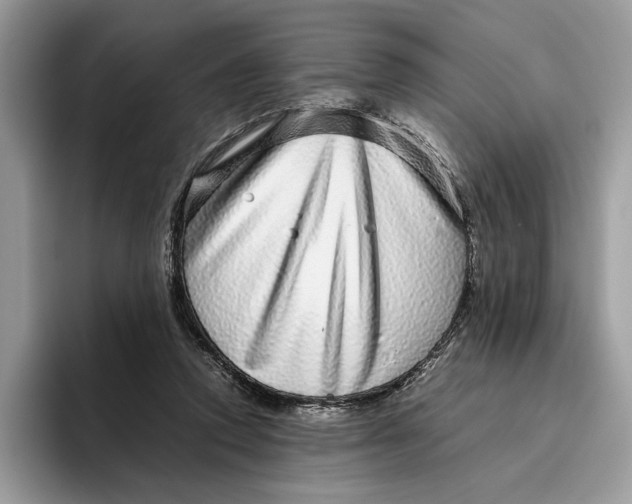 X0000095950354200802011106