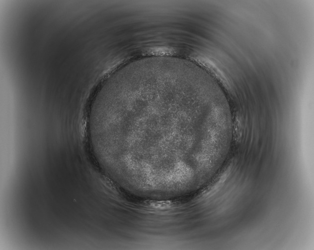 X0000095950355200802011106