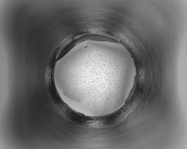 X0000095950356200802011106