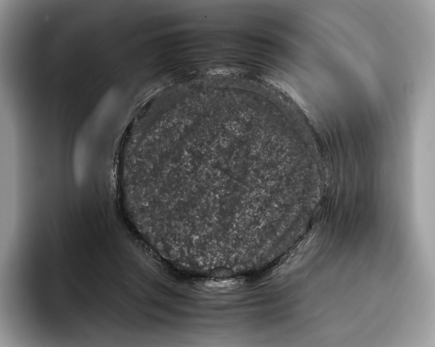 X0000095950357200802011106