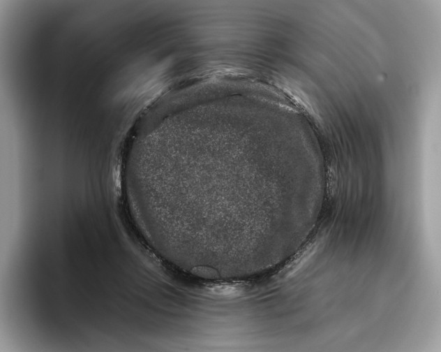 X0000095950358200802011106