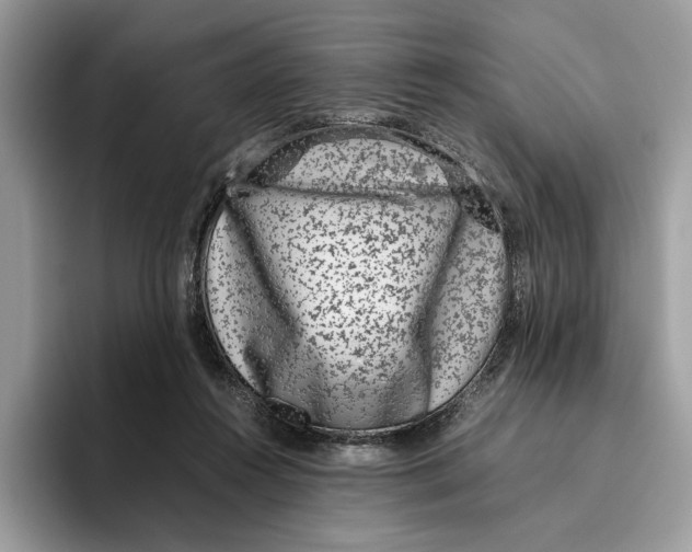 X0000095950360200802011106