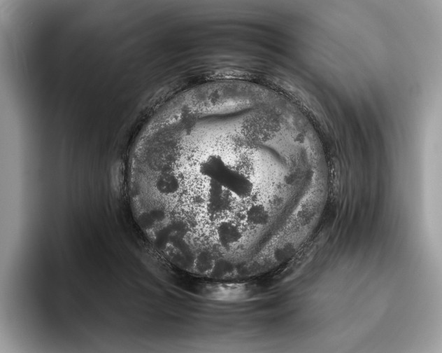 X0000095950361200802011106