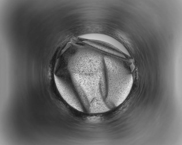 X0000095950362200802011106