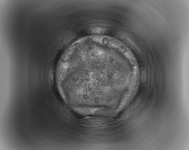 X0000095950363200802011106