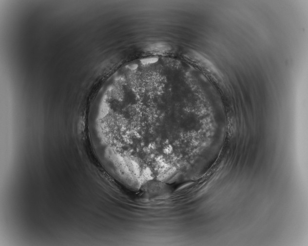 X0000095950365200802011106