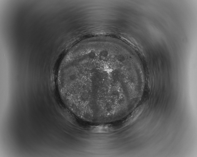 X0000095950366200802011106