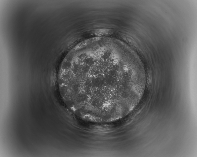 X0000095950367200802011106