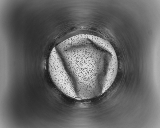 X0000095950368200802011106