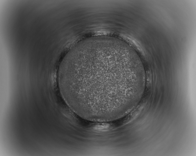 X0000095950369200802011106