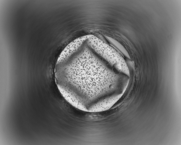 X0000095950372200802011106