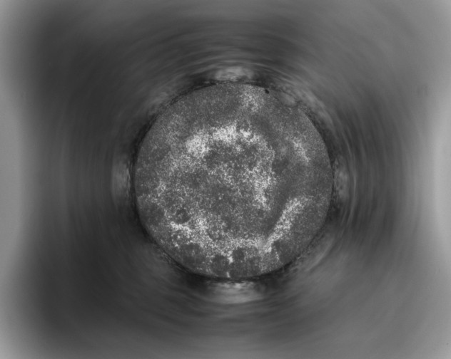 X0000095950375200802011106