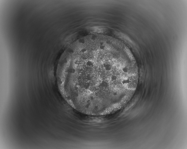 X0000095950377200802011106