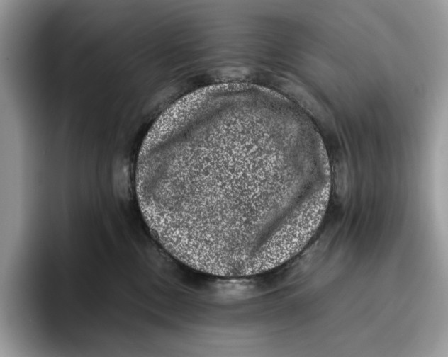 X0000095950378200802011106