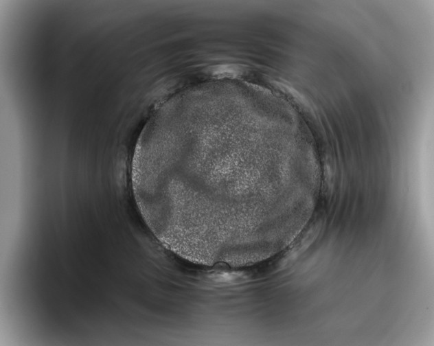 X0000095950379200802011107