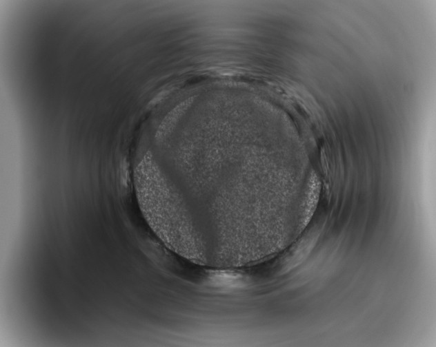 X0000095950380200802011107