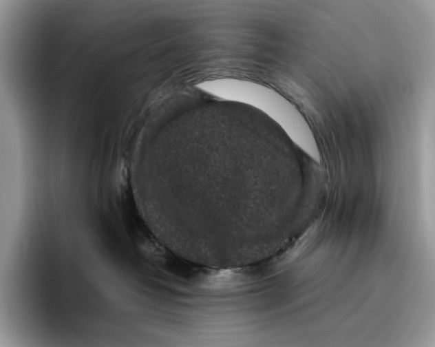 X0000095950382200802011107