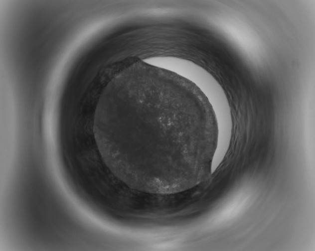 X0000095950383200802011107