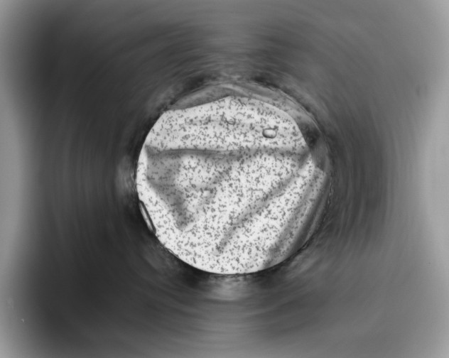 X0000095950384200802011107