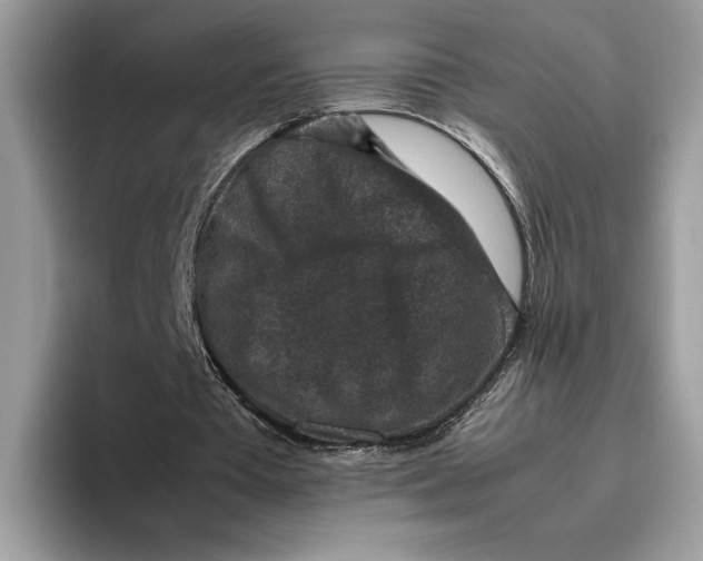 X0000095950385200802011106