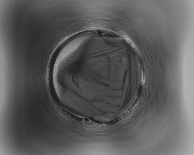 X0000095950387200802011106