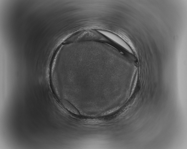 X0000095950389200802011106