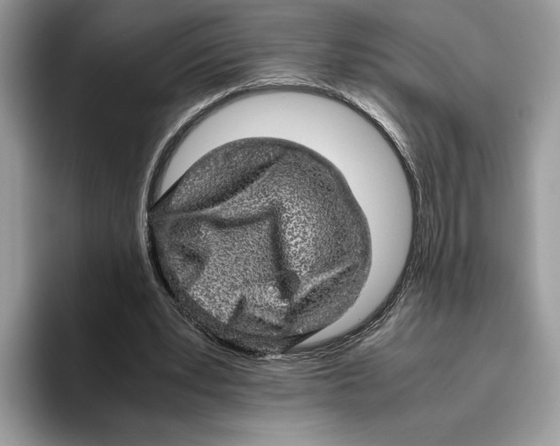 X0000095950391200802011106