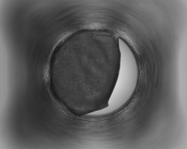 X0000095950392200802011106