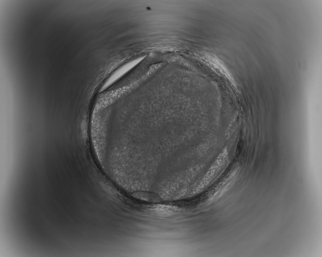 X0000095950393200802011106