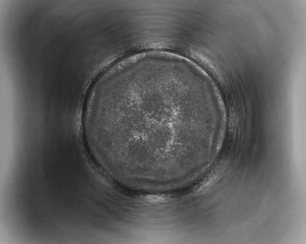 X0000095950394200802011106