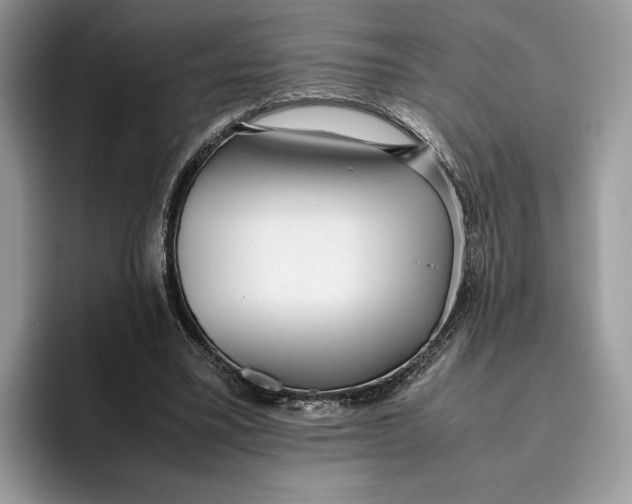 X0000095950395200802011106