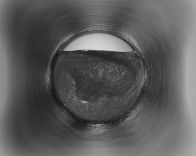 X0000095950396200802011106