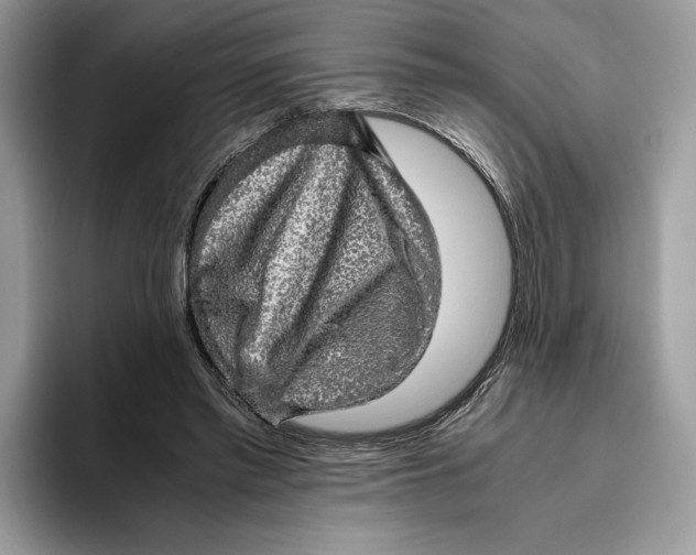 X0000095950397200802011106