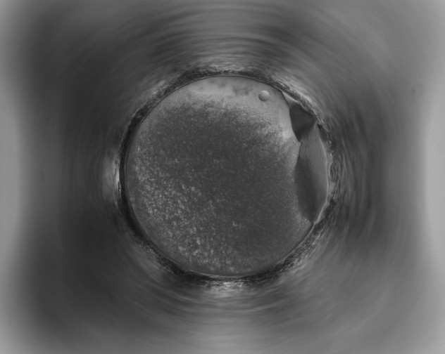 X0000095950398200802011106