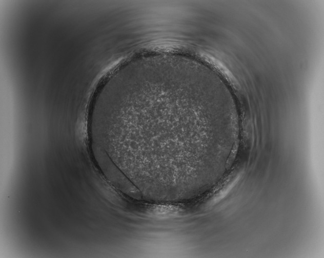 X0000095950399200802011106